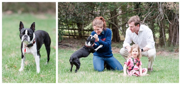 Blacksburg Pet Photography,Charlottesville Pet Photographer,Charlottesville family photography,Roanoke Family Photography,Roanoke Pet Photography,ithaca family photographer,