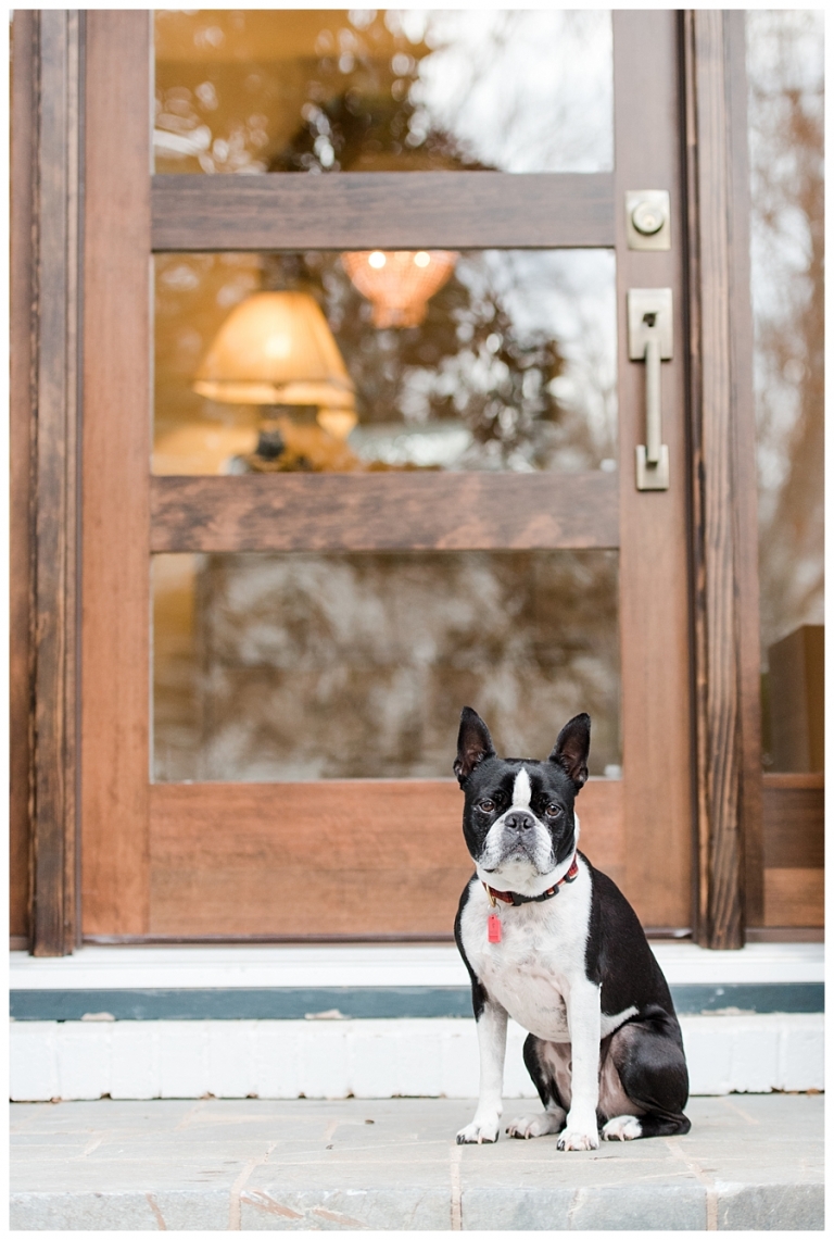 Blacksburg Pet Photography,Charlottesville Pet Photographer,Charlottesville family photography,Roanoke Family Photography,Roanoke Pet Photography,ithaca family photographer,