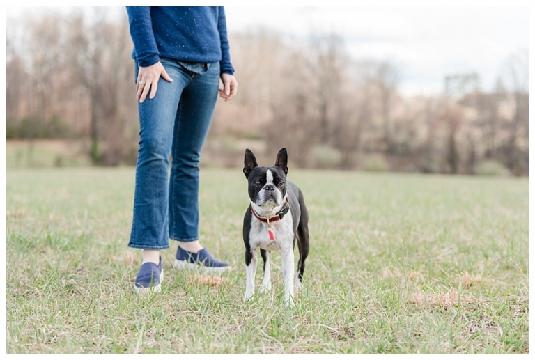 Blacksburg Pet Photography,Charlottesville Pet Photographer,Charlottesville family photography,Roanoke Family Photography,Roanoke Pet Photography,ithaca family photographer,