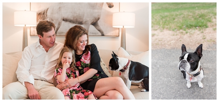 Blacksburg Pet Photography,Charlottesville Pet Photographer,Charlottesville family photography,Roanoke Family Photography,Roanoke Pet Photography,ithaca family photographer,