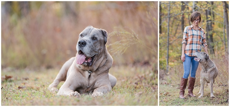 Blacksburg Pet Photography,Dog Photographer Virginia,Roanoke Pet Photography,charlottesville pet photography,